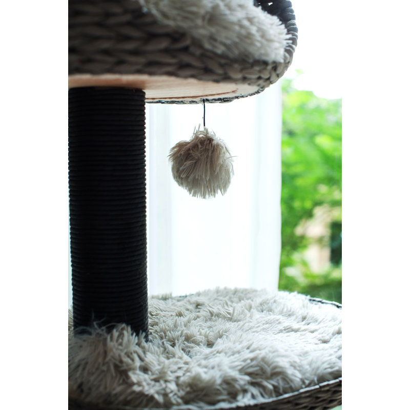 Tucker Murphy Pet™ 50" Amagansett Cat Condo & Reviews Wayfair